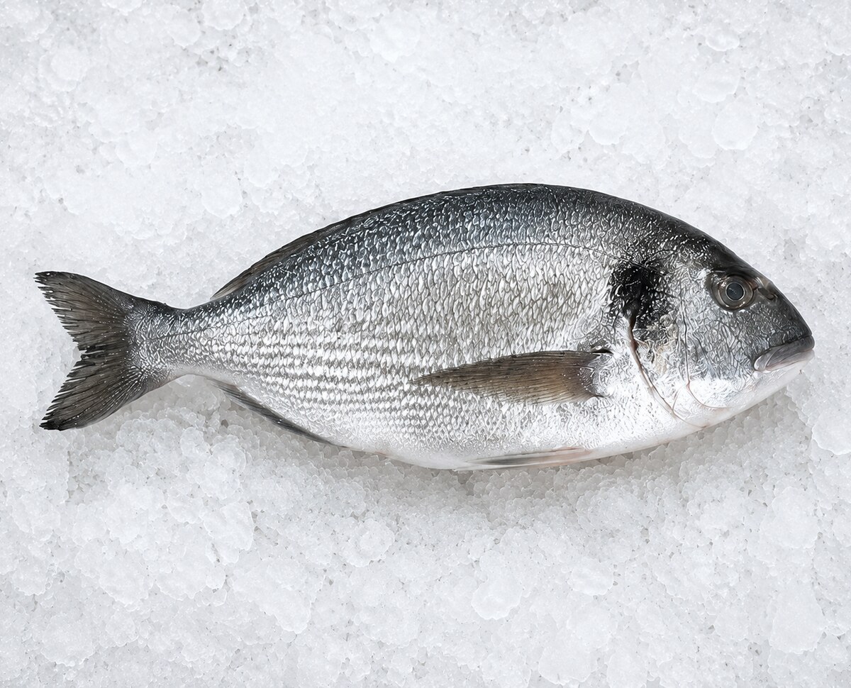Whole fresh UAE sea bream available for delivery in Dubai